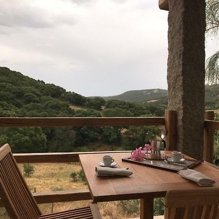 La Puntaccina Villa Aglientu Eksteriør bilde