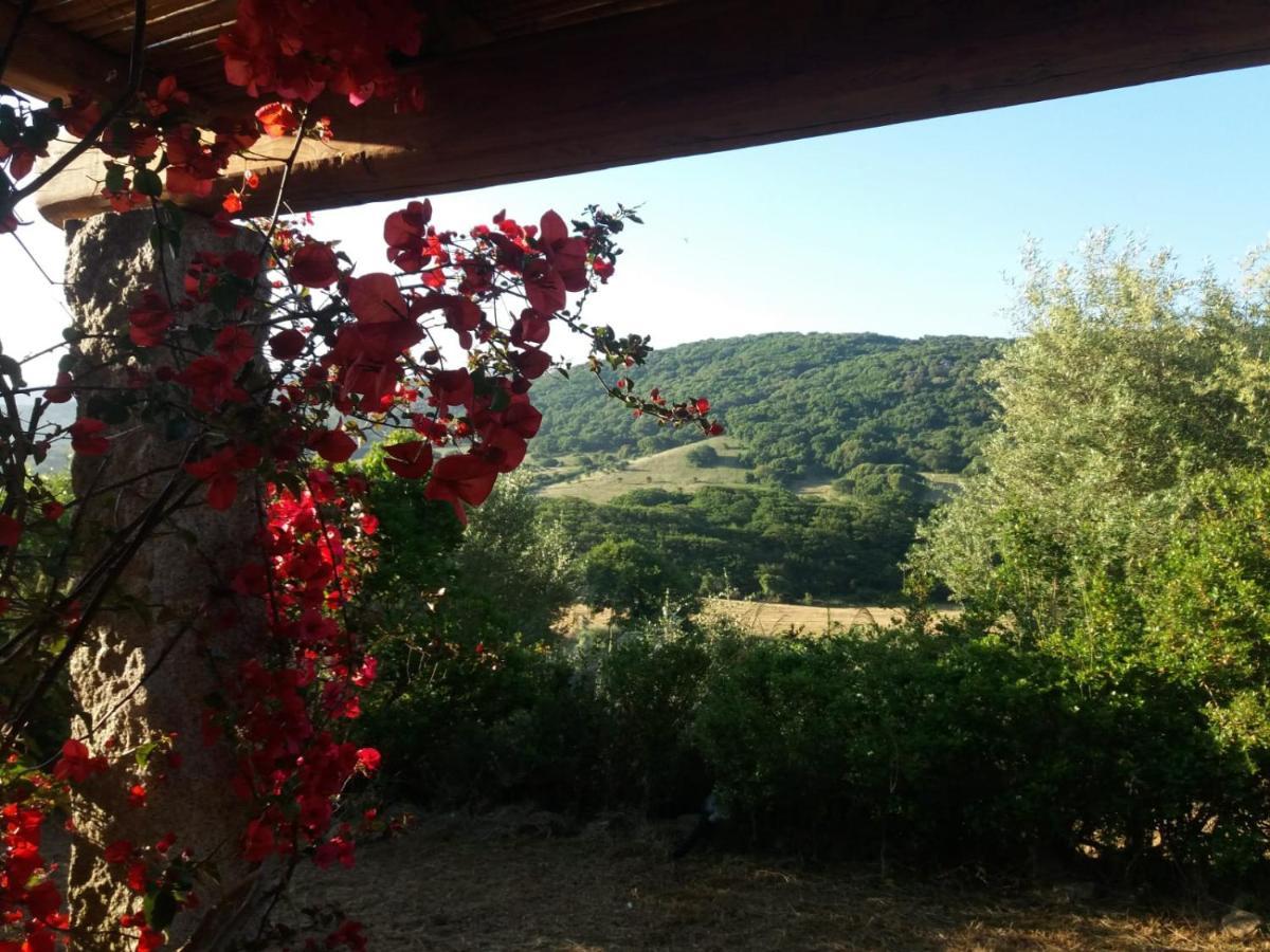 La Puntaccina Villa Aglientu Eksteriør bilde